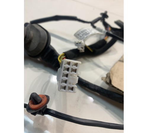 Электропроводка двери (задняя, левая)