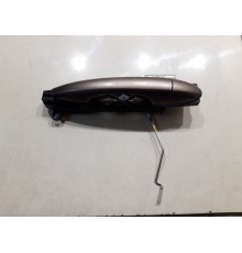 Ручка двери (задняя левая внешняя)