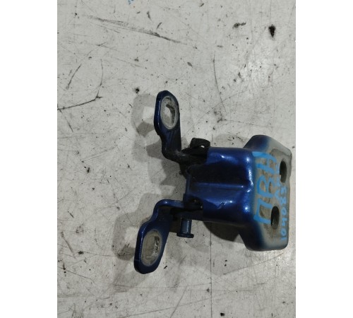 Петля двери(передняя правая нижняя)