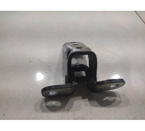 Петля двери (задняя, левая, нижняя)