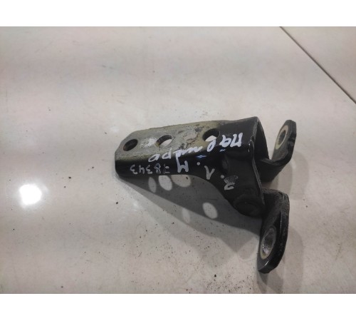 Петля двери (задняя, левая, нижняя)