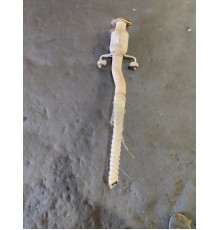 Катализатор