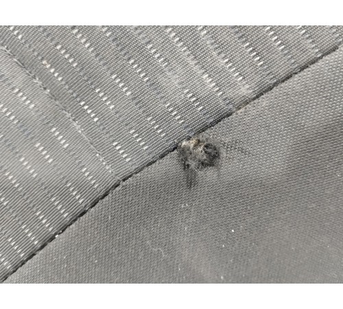 Спинка правого (пассажирского) сиденья