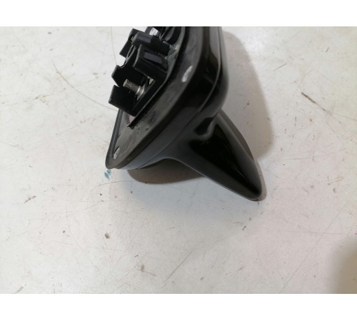 Антенна (плавник)