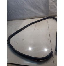 Уплотнитель двери (передний, левый)