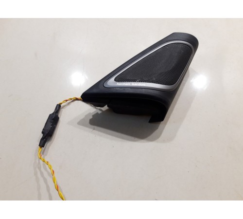 Динамик двери (передний правый)