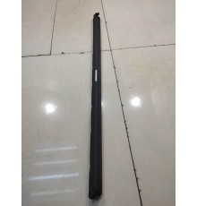 Уплотнитель стекла (задний, левый)