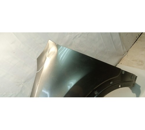 Крыло (переднее, левое)