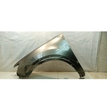 Крыло (переднее, левое)