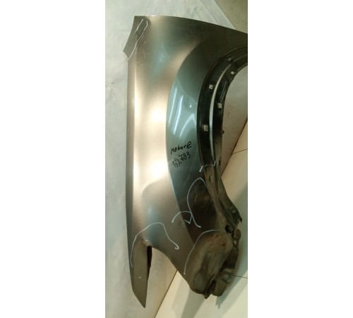 Крыло (переднее, левое)