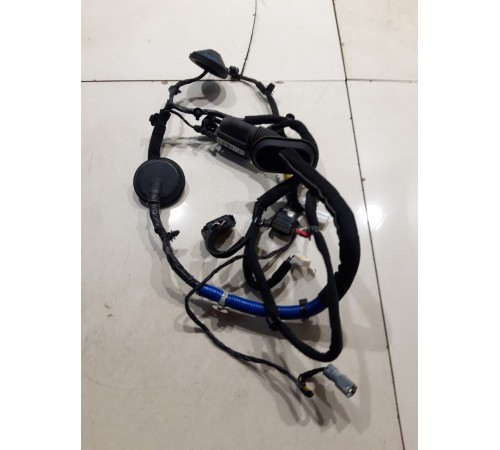 Электропроводка двери (передняя правая)