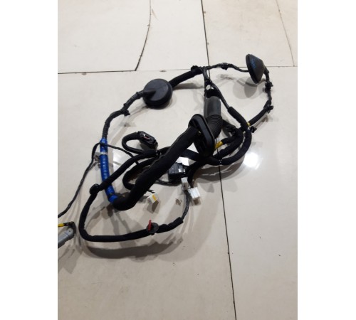 Электропроводка двери (передняя правая)