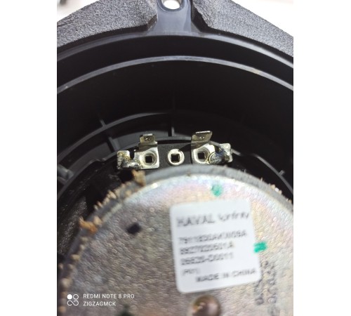 Динамик двери (задний левый)