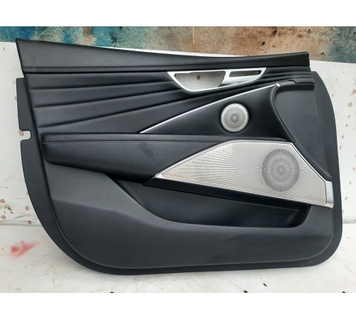 Обшивка двери(передняя левая)