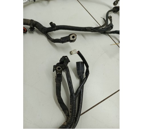 Электропроводка моторная