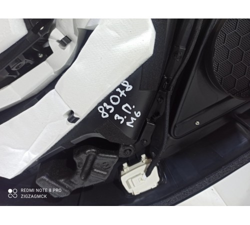 Обшивка двери (задняя правая)