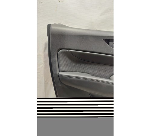 Обшивка двери (задняя левая)