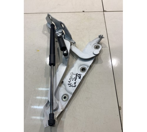 Петля багажника (левая)