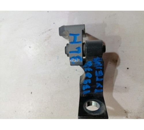 Петля двери задняя левая нижняя