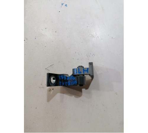 Петля двери задняя левая нижняя