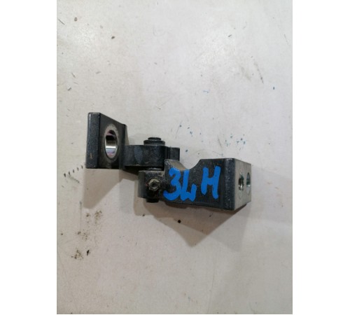 Петля двери задняя левая нижняя