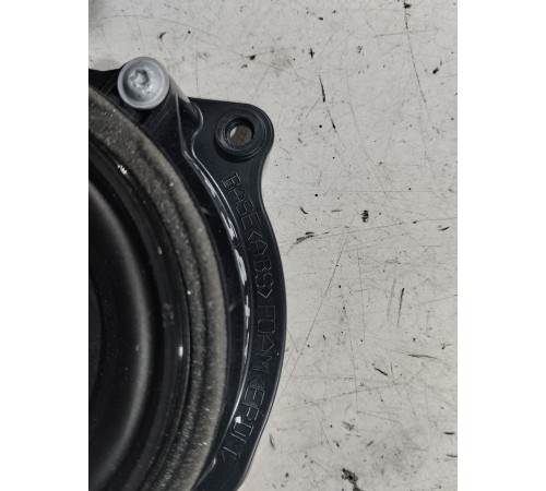 Динамик двери (задний левый)