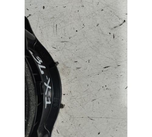 Динамик двери (задний левый)