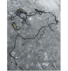 Электропроводка салона