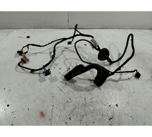 Электропроводка двери (передняя правая)