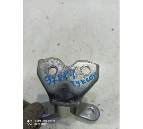 Петля двери(передняя правая нижняя)