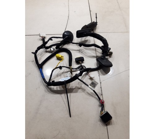 Электропроводка двери (передняя левая)