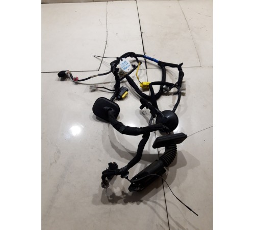 Электропроводка двери (передняя левая)