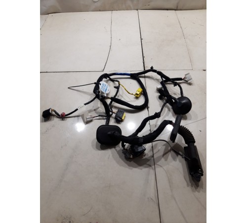 Электропроводка двери (передняя левая)