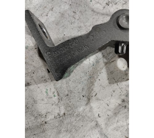 Петля двери передняя левая нижняя