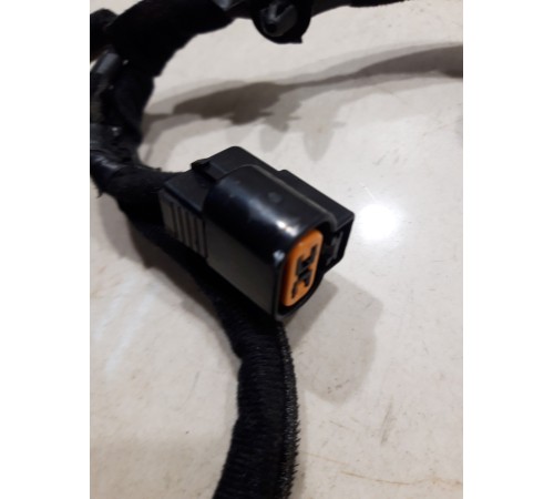 Электропроводка двери (задняя левая)