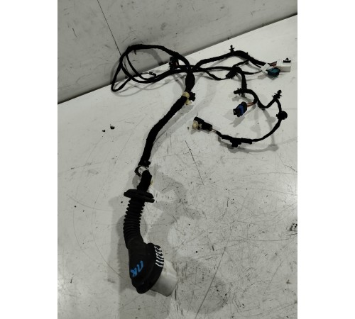 Электропроводка двери (передняя правая)