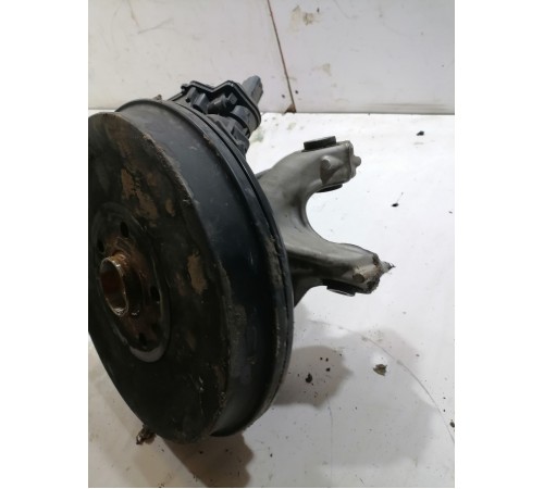 Кулак задний левый