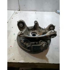 Кулак задний левый