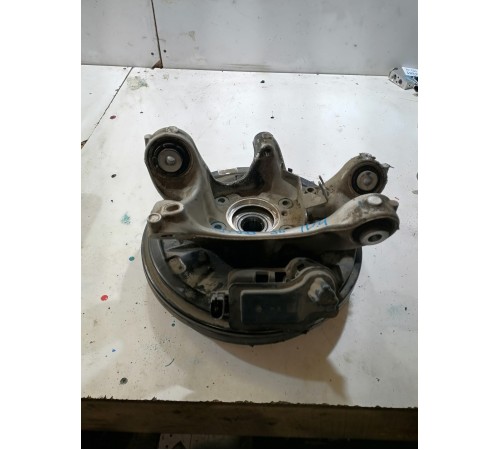 Кулак задний левый