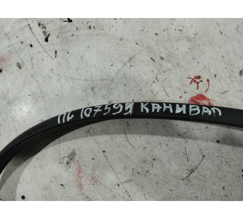 Уплотнитель двери (передний левый)