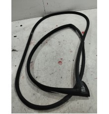 Уплотнитель двери (передний левый)