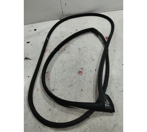 Уплотнитель двери (передний левый)