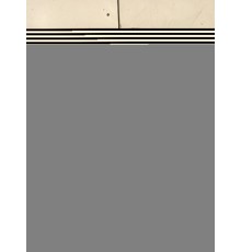 Пыльник тормозного диска (задний правый)