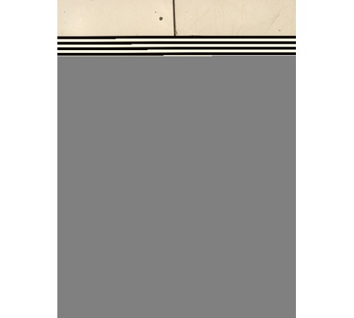 Пыльник тормозного диска (задний правый)