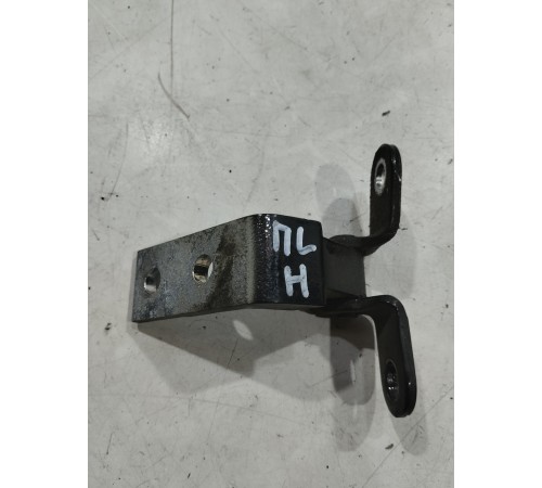 Петля двери(передняя левая нижняя)