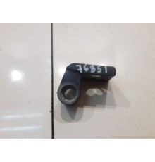 Петля двери (передняя, левая, нижняя)