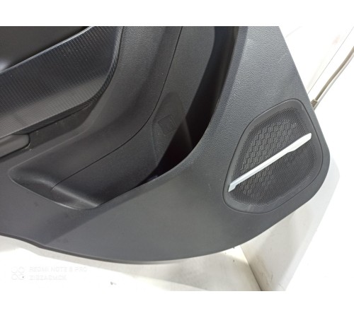 Обшивка двери (задняя левая)