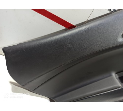 Обшивка двери (задняя левая)