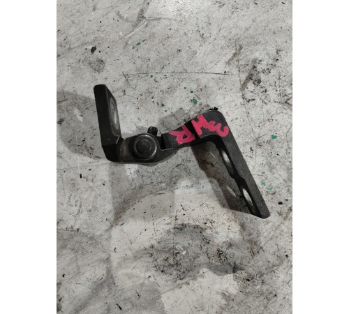 Петля двери задняя правая нижняя