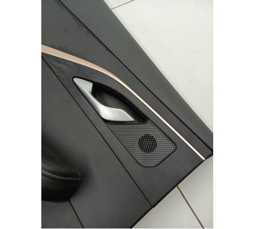 Обшивка двери задняя левая